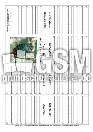 Faltbuch-Grüne-Baumwanze.pdf
